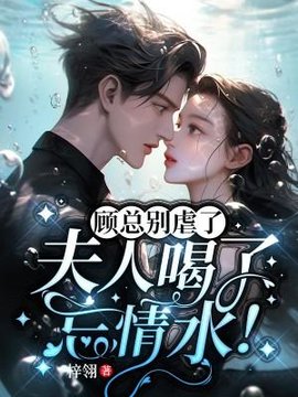乔米顾澜城小说阅读