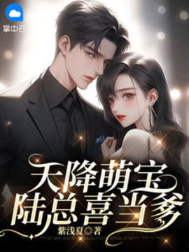 天降萌宝，陆总喜当爹小说阅读
