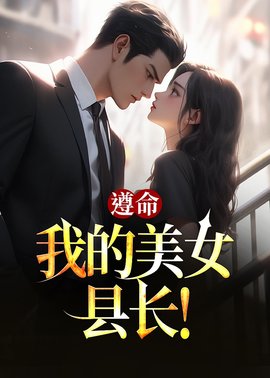 遵命，我的美女县长！小说阅读