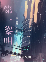 第一黎明！小说阅读