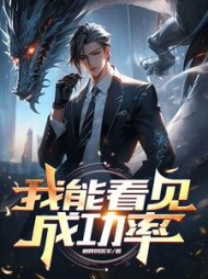 我能看见成功率小说阅读