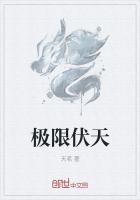 极限伏天小说阅读