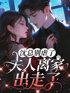 沈总别虐了，夫人离家出走了最新小说阅读