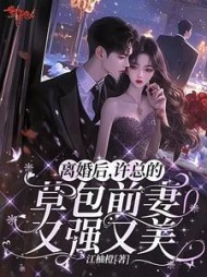 离婚后，许总的草包前妻又强又美小说阅读