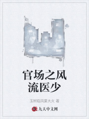 官场之风流医少小说阅读