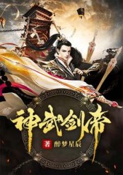 神武剑帝陆轻尘小说阅读