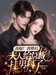 劲爆，离婚后夫人给总裁挂男科了小说阅读