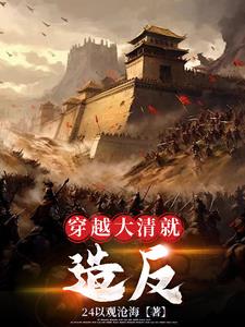 穿越大清就造反小说阅读