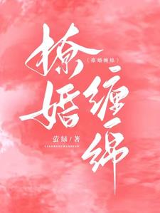 撩婚缠绵小说阅读