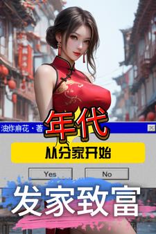 年代：从分家开始发家致富小说阅读