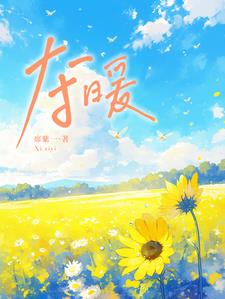 夺暖小说阅读