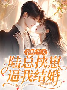 孕吐当天，陆总挟崽逼我结婚小说阅读