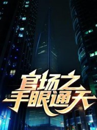 官场之手眼通天阅读小说阅读