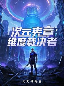 次元宪章：维度裁决者阅读小说阅读