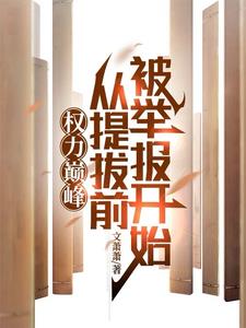 权力巅峰：从提拔前被举报开始阅读小说阅读