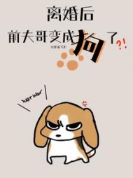 离婚后前夫哥变成狗了阅读小说阅读