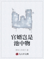 官婿岂是池中物阅读小说阅读