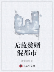 无敌赘婿混都市阅读小说阅读