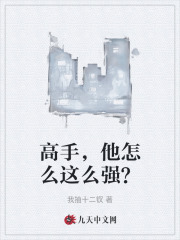 高手，他怎么这么强？最新小说阅读