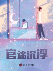 官途沉浮小说阅读
