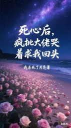 死心后，疯批大佬哭着求我回头最新小说阅读