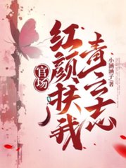 官场：红颜扶我青云志小说阅读