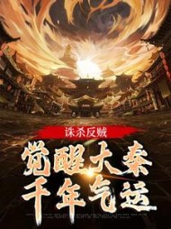 诛杀反贼，觉醒大秦千年气运小说阅读