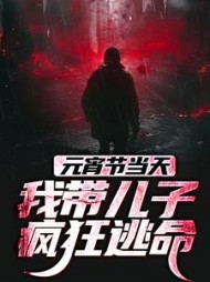 元宵节当天，我带儿子疯狂逃命最新小说阅读