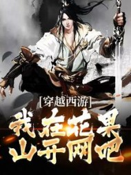 穿越西游我在花果山开网吧(苏辰)小说阅读