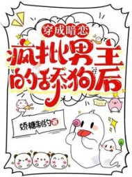 穿成暗恋疯批男主的舔狗后by娇糖制约小说阅读