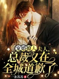 宠婚撩人：夫人，总裁又在全城道歉了小说阅读
