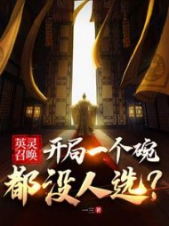 英灵召唤：开局一个碗都没人选？小说阅读