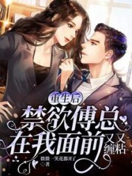重生后，禁欲傅总在我面前又缠又粘小说阅读