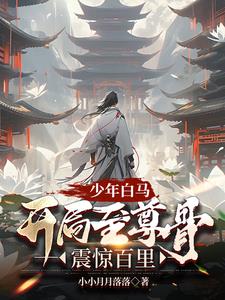 少年白马：开局至尊骨，震惊百里阅读小说阅读