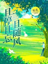且停且忘且随风后续+番外小说阅读