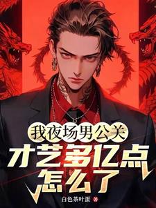 我夜场男公关,才艺多亿点怎么了阅读小说阅读