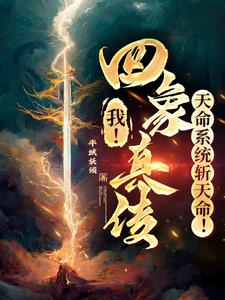 我!四象真传,天命系统斩天命阅读小说阅读