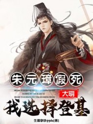 大明：朱元璋假死，我选择登基小说阅读