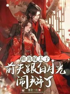 和离嫁太子,前夫跟白月光闹掰了小说阅读