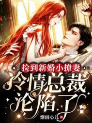 捡到新婚小撩妻,冷情总裁沦陷了阅读小说阅读