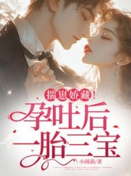 揣崽娇藏！孕吐后一胎三宝小说阅读