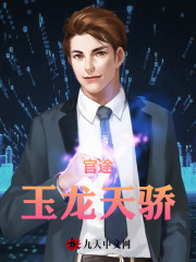 官途:玉龙天骄叶阳黎洁阅读小说阅读