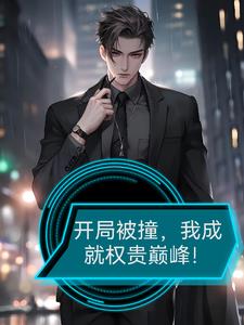 开局被撞，我成就权贵巅峰阅读小说阅读