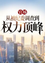 官场:从被纪委调查到权力顶峰精彩小说阅读