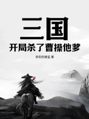 三国开局杀了曹操他爹阅读小说阅读