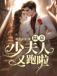 陆总，少夫人又跑啦小说阅读