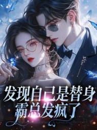 季司珩陆念笙小说阅读
