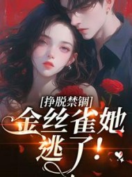 挣脱禁锢：金丝雀她逃了最新小说阅读