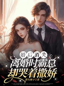 婚后消失，离婚时总裁却哭着撒娇小说阅读