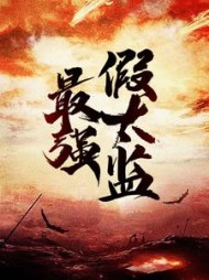 最强假太监(泡泡的猫)小说阅读